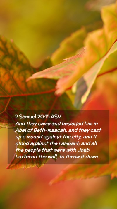 Picture 02 - 2 Samuel 20:15 ASV Mobile Phone Wallpaper - And they came and besieged him in Abel of - Mobile Bible Verse Wallpaper