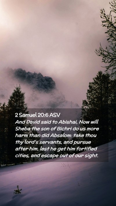 Picture 02 - 2 Samuel 20:6 ASV Mobile Phone Wallpaper - And David said to Abishai, Now will Sheba the son - Mobile Bible Verse Wallpaper