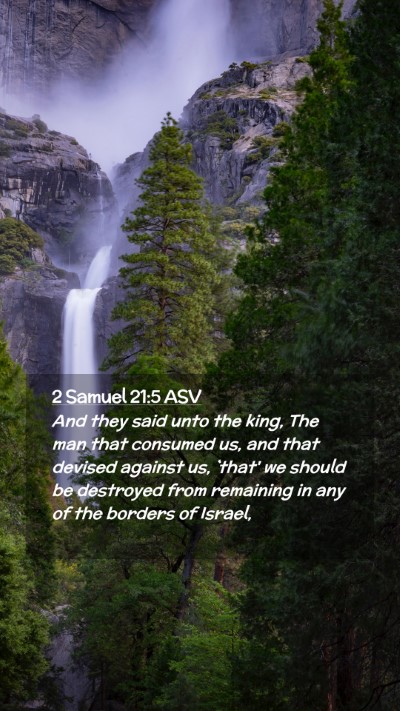 Picture 02 - 2 Samuel 21:5 ASV Mobile Phone Wallpaper - And they said unto the king, The man that - Mobile Bible Verse Wallpaper