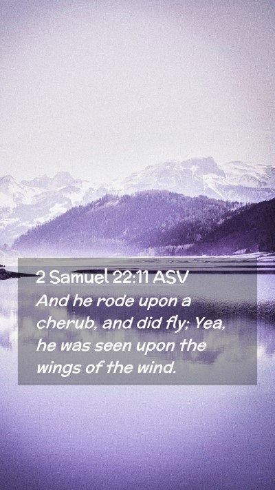 Picture 02 - 2 Samuel 22:11 ASV Mobile Phone Wallpaper - And he rode upon a cherub, and did fly; Yea, he - Mobile Bible Verse Wallpaper