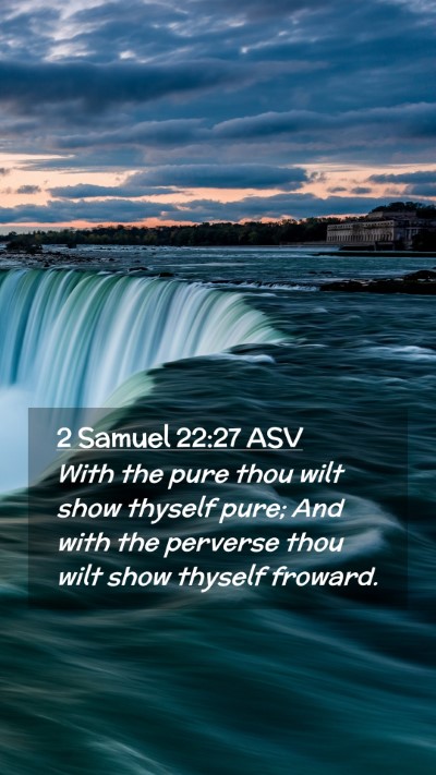 Picture 02 - 2 Samuel 22:27 ASV Mobile Phone Wallpaper - With the pure thou wilt show thyself pure; And - Mobile Bible Verse Wallpaper