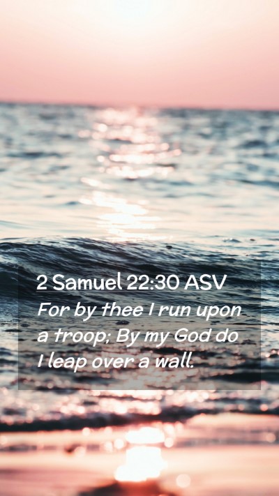 Picture 02 - 2 Samuel 22:30 ASV Mobile Phone Wallpaper - For by thee I run upon a troop; By my God do I - Mobile Bible Verse Wallpaper