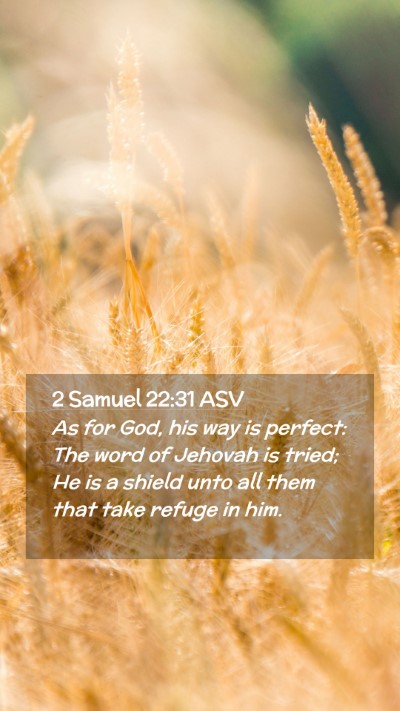 Picture 02 - 2 Samuel 22:31 ASV Mobile Phone Wallpaper - As for God, his way is perfect: The word of - Mobile Bible Verse Wallpaper