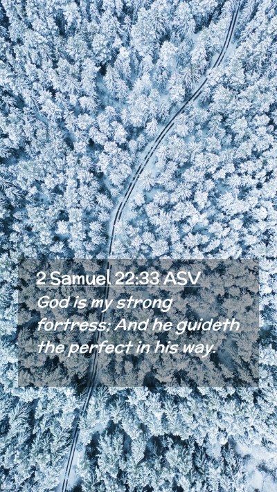 Picture 02 - 2 Samuel 22:33 ASV Mobile Phone Wallpaper - God is my strong fortress; And he guideth the - Mobile Bible Verse Wallpaper