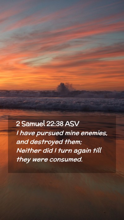 Picture 02 - 2 Samuel 22:38 ASV Mobile Phone Wallpaper - I have pursued mine enemies, and destroyed them; - Mobile Bible Verse Wallpaper