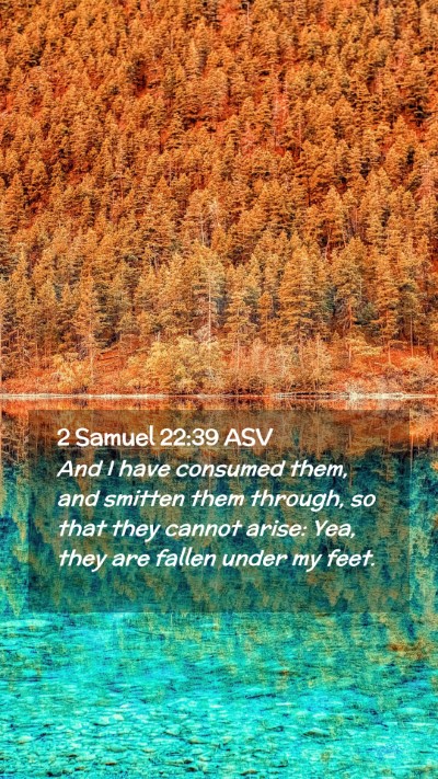 Picture 02 - 2 Samuel 22:39 ASV Mobile Phone Wallpaper - And I have consumed them, and smitten them - Mobile Bible Verse Wallpaper
