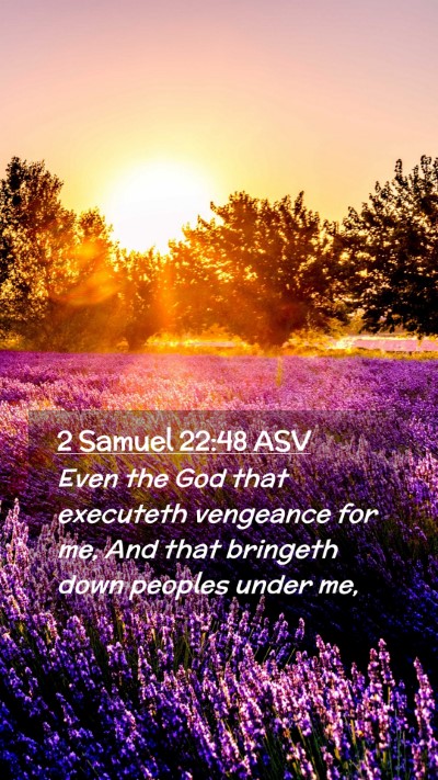 Picture 02 - 2 Samuel 22:48 ASV Mobile Phone Wallpaper - Even the God that executeth vengeance for me, And - Mobile Bible Verse Wallpaper