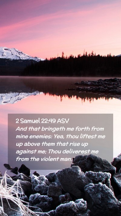 Picture 02 - 2 Samuel 22:49 ASV Mobile Phone Wallpaper - And that bringeth me forth from mine enemies: - Mobile Bible Verse Wallpaper