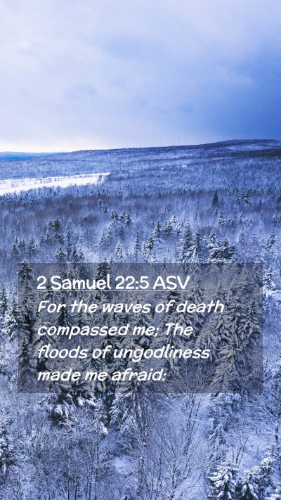 Picture 02 - 2 Samuel 22:5 ASV Mobile Phone Wallpaper - For the waves of death compassed me; The floods - Mobile Bible Verse Wallpaper