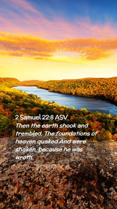 Picture 02 - 2 Samuel 22:8 ASV Mobile Phone Wallpaper - Then the earth shook and trembled, The - Mobile Bible Verse Wallpaper