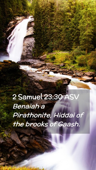 Picture 02 - 2 Samuel 23:30 ASV Mobile Phone Wallpaper - Benaiah a Pirathonite, Hiddai of the brooks of - Mobile Bible Verse Wallpaper
