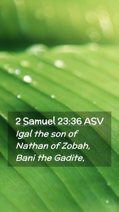 Picture 02 - 2 Samuel 23:36 ASV Mobile Phone Wallpaper - Igal the son of Nathan of Zobah, Bani the - Mobile Bible Verse Wallpaper