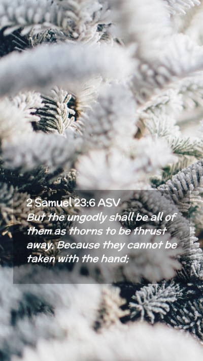 Picture 02 - 2 Samuel 23:6 ASV Mobile Phone Wallpaper - But the ungodly shall be all of them as thorns to - Mobile Bible Verse Wallpaper