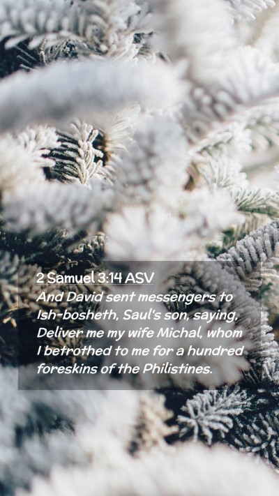 Picture 02 - 2 Samuel 3:14 ASV Mobile Phone Wallpaper - And David sent messengers to Ish-bosheth, Saul's - Mobile Bible Verse Wallpaper