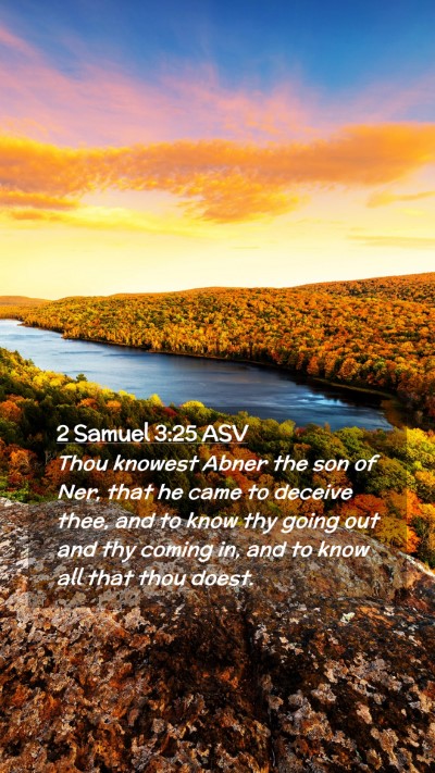 Picture 02 - 2 Samuel 3:25 ASV Mobile Phone Wallpaper - Thou knowest Abner the son of Ner, that he came - Mobile Bible Verse Wallpaper