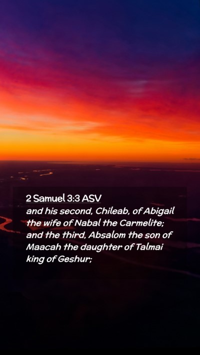 Picture 02 - 2 Samuel 3:3 ASV Mobile Phone Wallpaper - and his second, Chileab, of Abigail the wife of - Mobile Bible Verse Wallpaper
