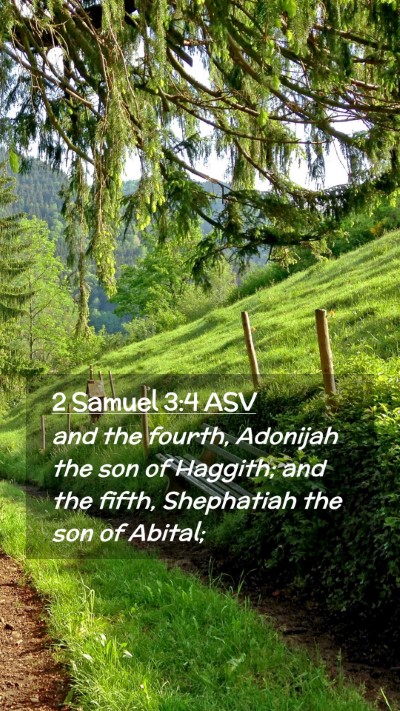 Picture 02 - 2 Samuel 3:4 ASV Mobile Phone Wallpaper - and the fourth, Adonijah the son of Haggith; and - Mobile Bible Verse Wallpaper