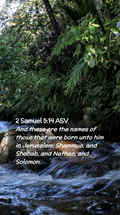 Picture 02 - 2 Samuel 5:14 ASV Mobile Phone Wallpaper - And these are the names of those that were born - Mobile Bible Verse Wallpaper