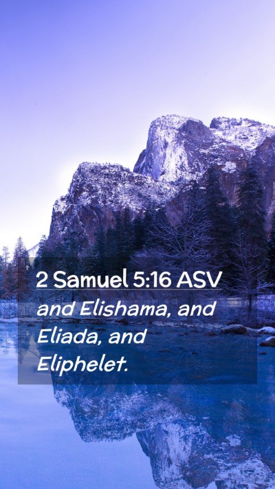 Picture 02 - 2 Samuel 5:16 ASV Mobile Phone Wallpaper - and Elishama, and Eliada, and - Mobile Bible Verse Wallpaper