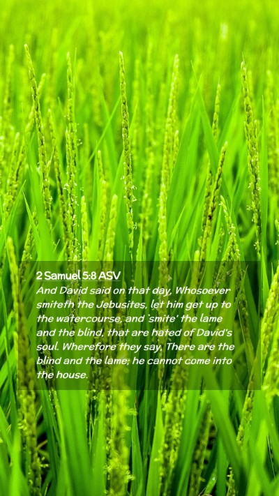 Picture 02 - 2 Samuel 5:8 ASV Mobile Phone Wallpaper - And David said on that day, Whosoever smiteth the - Mobile Bible Verse Wallpaper