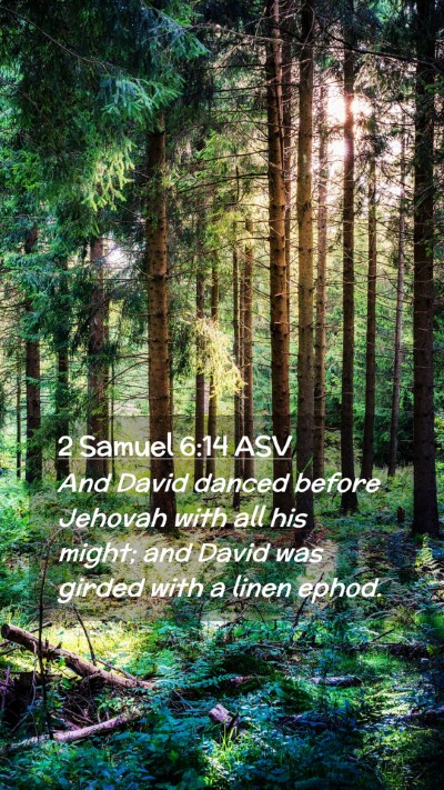 Picture 02 - 2 Samuel 6:14 ASV Mobile Phone Wallpaper - And David danced before Jehovah with all his - Mobile Bible Verse Wallpaper