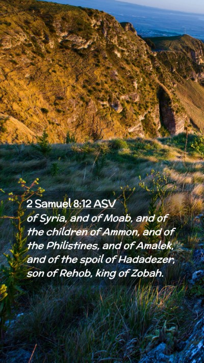 Picture 02 - 2 Samuel 8:12 ASV Mobile Phone Wallpaper - of Syria, and of Moab, and of the children of - Mobile Bible Verse Wallpaper