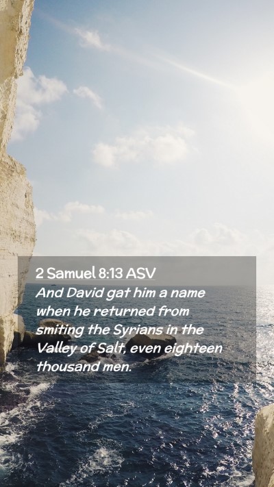 Picture 02 - 2 Samuel 8:13 ASV Mobile Phone Wallpaper - And David gat him a name when he returned from - Mobile Bible Verse Wallpaper