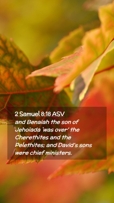 Picture 02 - 2 Samuel 8:18 ASV Mobile Phone Wallpaper - and Benaiah the son of Jehoiada `was over' the - Mobile Bible Verse Wallpaper