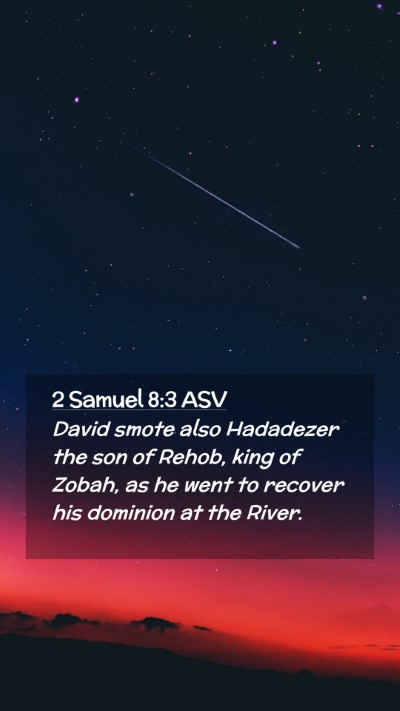 Picture 02 - 2 Samuel 8:3 ASV Mobile Phone Wallpaper - David smote also Hadadezer the son of Rehob, king - Mobile Bible Verse Wallpaper