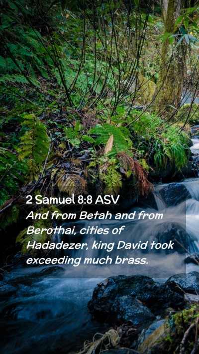 Picture 02 - 2 Samuel 8:8 ASV Mobile Phone Wallpaper - And from Betah and from Berothai, cities of - Mobile Bible Verse Wallpaper