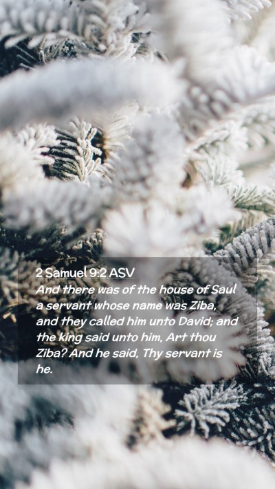 Picture 02 - 2 Samuel 9:2 ASV Mobile Phone Wallpaper - And there was of the house of Saul a servant - Mobile Bible Verse Wallpaper