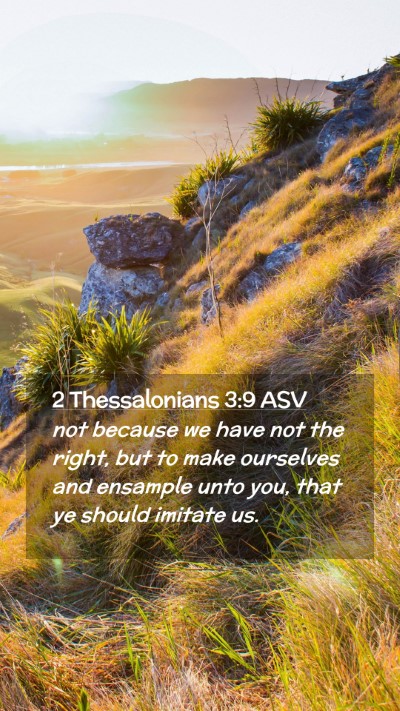 Picture 02 - 2 Thessalonians 3:9 ASV Mobile Phone Wallpaper - not because we have not the right, but to make - Mobile Bible Verse Wallpaper