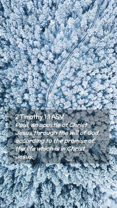 Picture 02 - 2 Timothy 1:1 ASV Mobile Phone Wallpaper - Paul, an apostle of Christ Jesus through the will - Mobile Bible Verse Wallpaper