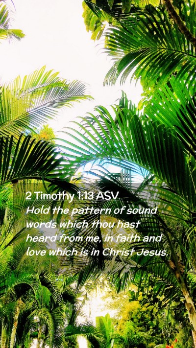 Picture 02 - 2 Timothy 1:13 ASV Mobile Phone Wallpaper - Hold the pattern of sound words which thou hast - Mobile Bible Verse Wallpaper