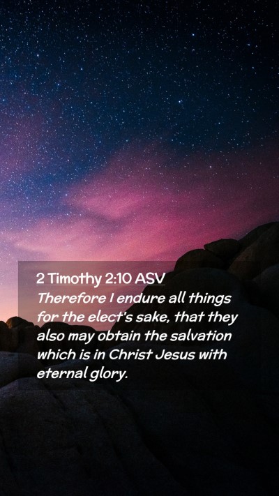 Picture 02 - 2 Timothy 2:10 ASV Mobile Phone Wallpaper - Therefore I endure all things for the elect's - Mobile Bible Verse Wallpaper