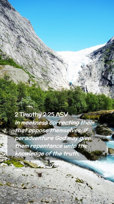 Picture 02 - 2 Timothy 2:25 ASV Mobile Phone Wallpaper - in meekness correcting them that oppose - Mobile Bible Verse Wallpaper