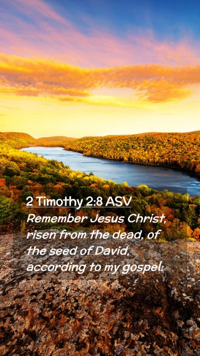 Picture 02 - 2 Timothy 2:8 ASV Mobile Phone Wallpaper - Remember Jesus Christ, risen from the dead, of - Mobile Bible Verse Wallpaper