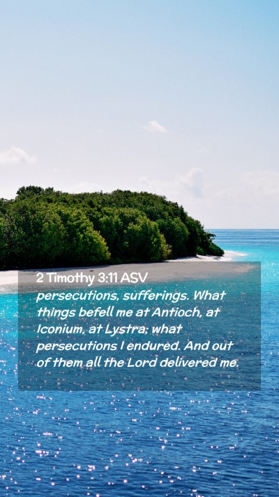 Picture 02 - 2 Timothy 3:11 ASV Mobile Phone Wallpaper - persecutions, sufferings. What things befell me - Mobile Bible Verse Wallpaper