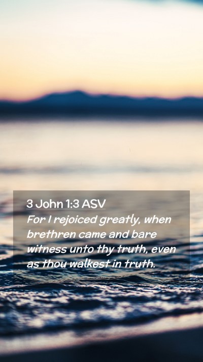 Picture 02 - 3 John 1:3 ASV Mobile Phone Wallpaper - For I rejoiced greatly, when brethren came and - Mobile Bible Verse Wallpaper