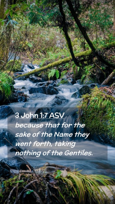 Picture 02 - 3 John 1:7 ASV Mobile Phone Wallpaper - because that for the sake of the Name they went - Mobile Bible Verse Wallpaper