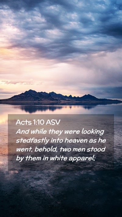 Picture 02 - Acts 1:10 ASV Mobile Phone Wallpaper - And while they were looking stedfastly into - Mobile Bible Verse Wallpaper