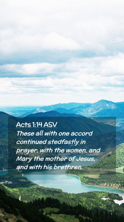 Picture 02 - Acts 1:14 ASV Mobile Phone Wallpaper - These all with one accord continued stedfastly in - Mobile Bible Verse Wallpaper