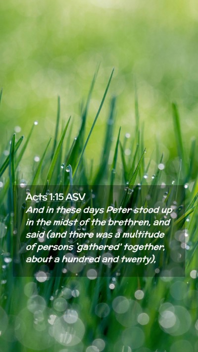 Picture 02 - Acts 1:15 ASV Mobile Phone Wallpaper - And in these days Peter stood up in the midst of - Mobile Bible Verse Wallpaper