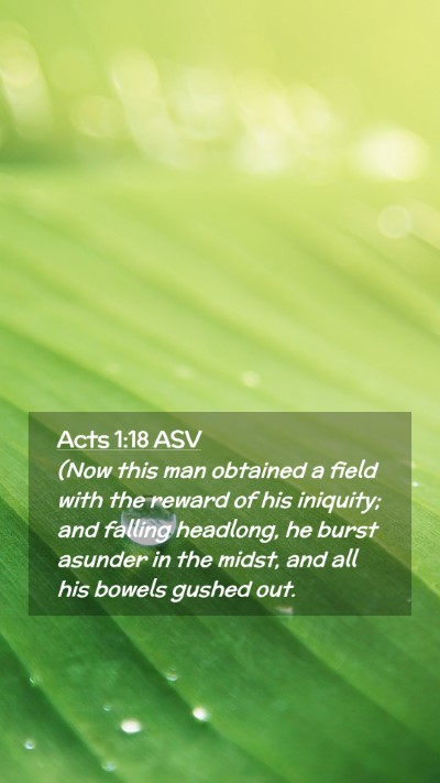 Picture 02 - Acts 1:18 ASV Mobile Phone Wallpaper - (Now this man obtained a field with the reward of - Mobile Bible Verse Wallpaper