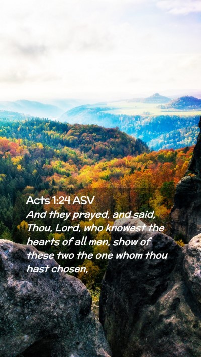 Picture 02 - Acts 1:24 ASV Mobile Phone Wallpaper - And they prayed, and said, Thou, Lord, who - Mobile Bible Verse Wallpaper