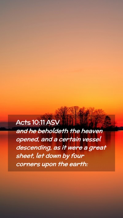 Picture 02 - Acts 10:11 ASV Mobile Phone Wallpaper - and he beholdeth the heaven opened, and a certain - Mobile Bible Verse Wallpaper