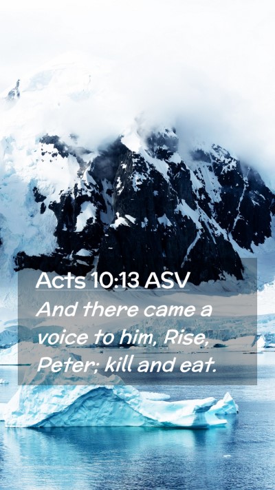 Picture 02 - Acts 10:13 ASV Mobile Phone Wallpaper - And there came a voice to him, Rise, Peter; kill - Mobile Bible Verse Wallpaper