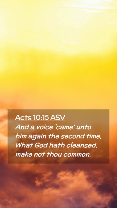 Picture 02 - Acts 10:15 ASV Mobile Phone Wallpaper - And a voice `came' unto him again the second - Mobile Bible Verse Wallpaper