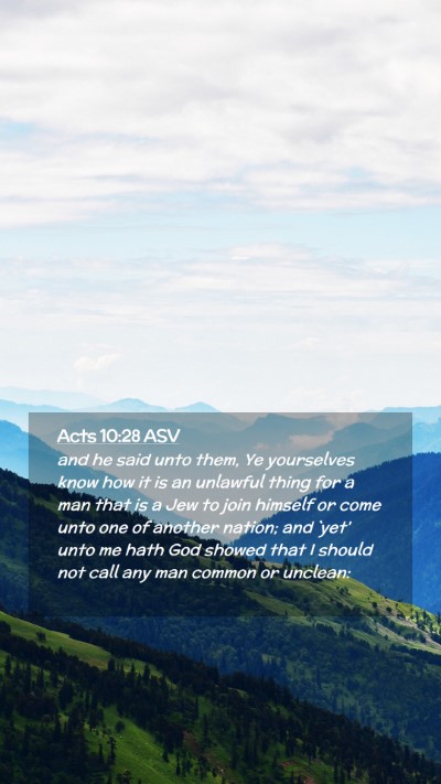 Picture 02 - Acts 10:28 ASV Mobile Phone Wallpaper - and he said unto them, Ye yourselves know how it - Mobile Bible Verse Wallpaper