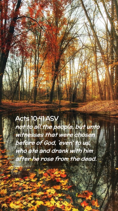 Picture 02 - Acts 10:41 ASV Mobile Phone Wallpaper - not to all the people, but unto witnesses that - Mobile Bible Verse Wallpaper